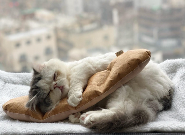 Baguette Kicker Toy
