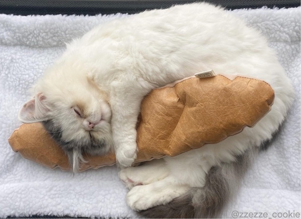 Baguette Kicker Toy