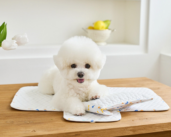 Ice Bear Cool Mat