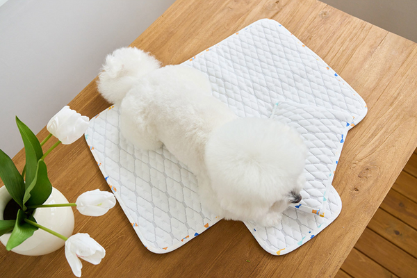 Ice Bear Cool Mat