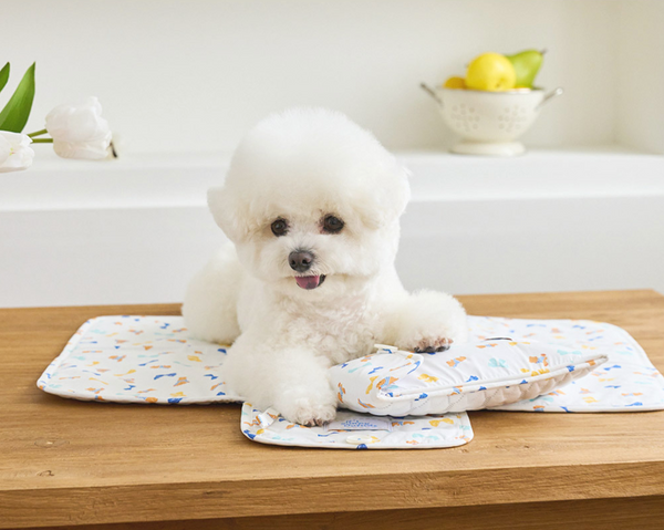 Ice Bear Cool Mat