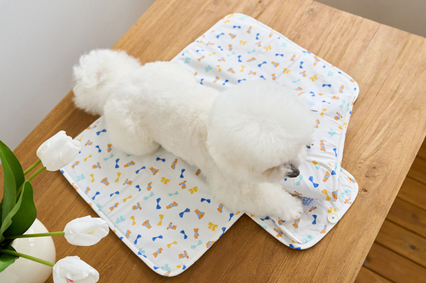 Ice Bear Cool Mat