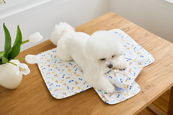 Ice Bear Cool Mat