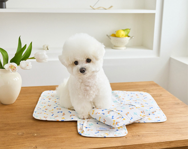 Ice Bear Cool Mat