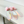 Catch the Tail Cat Teaser Wand Toy