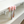 Catch the Tail Cat Teaser Wand Toy