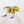 Super Sweet Corn Cat Teaser Wand Refill Toy