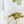 Yellow Dandelion Cat Teaser Wand Refill Toy