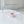 Cherry Blossom Festival Cat Teaser Wand Refill Toy