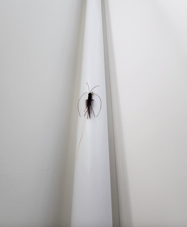 Midnight Cockroach Cat Teaser Wand Refill Toy