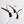 Antenna Bug Cat Teaser Wand Toy
