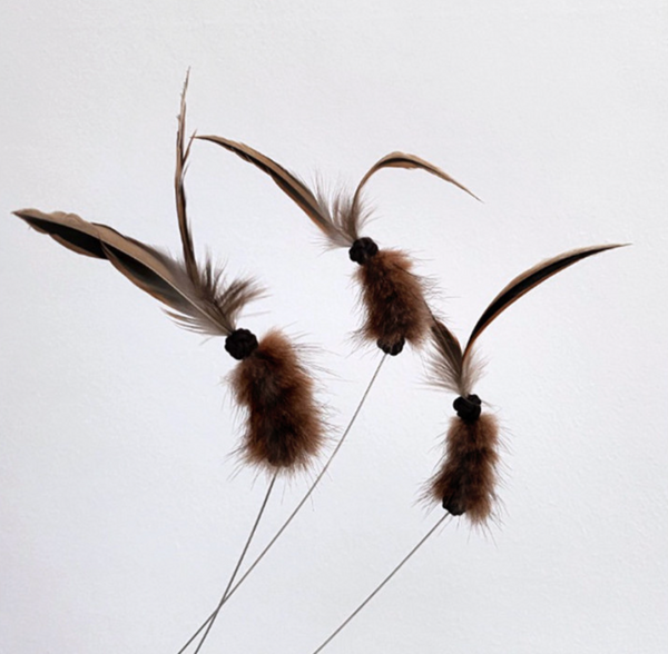 Antenna Bug Cat Teaser Wand Toy