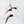 Antenna Bug Cat Teaser Wand Toy