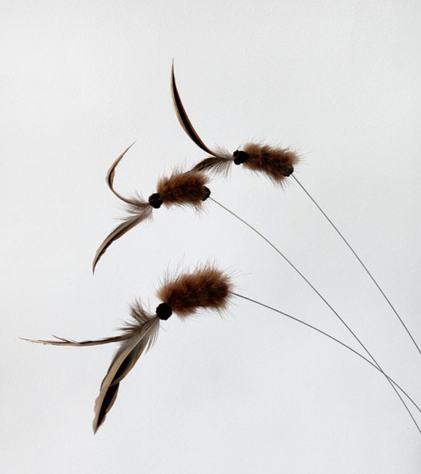 Antenna Bug Cat Teaser Wand Toy