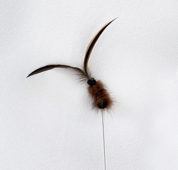 Antenna Bug Cat Teaser Wand Toy