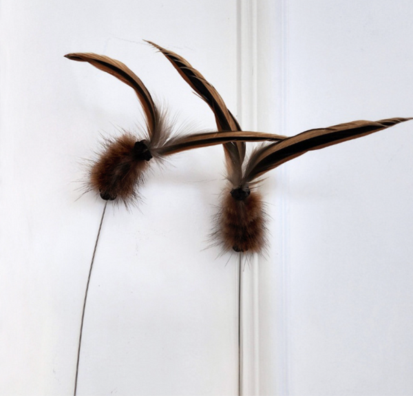 Antenna Bug Cat Teaser Wand Toy