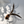 Antenna Bug Cat Teaser Wand Toy