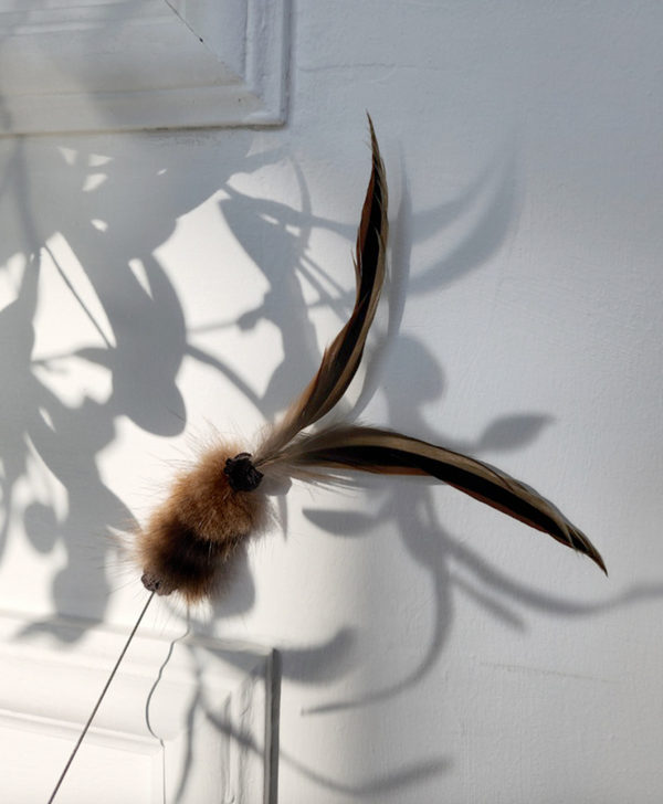 Antenna Bug Cat Teaser Wand Toy