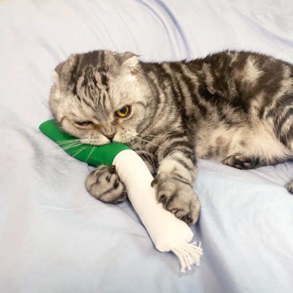 Green Onion Catnip Matatabi Cushion Toy