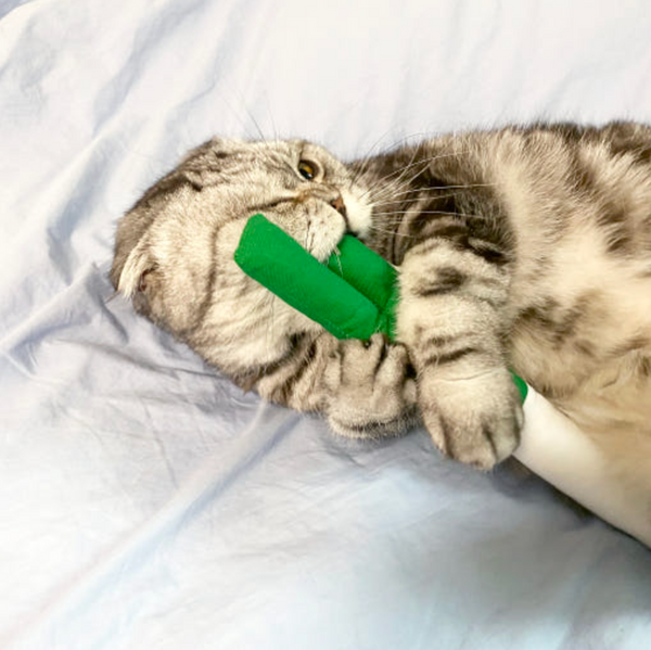 Green Onion Catnip Matatabi Cushion Toy