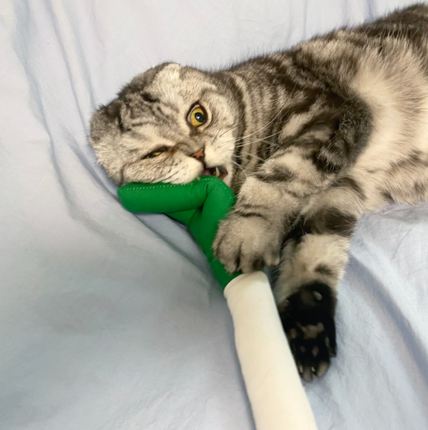 Green Onion Catnip Matatabi Cushion Toy
