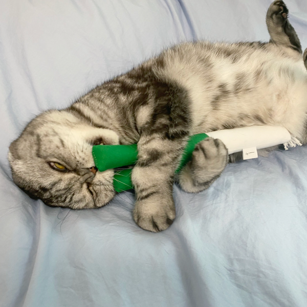 Green Onion Catnip Matatabi Cushion Toy
