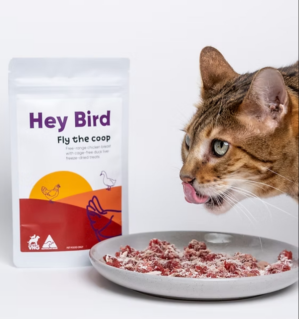 Fly The Coop