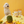 Freeze Dried Goat Milk & Pineapple Treats