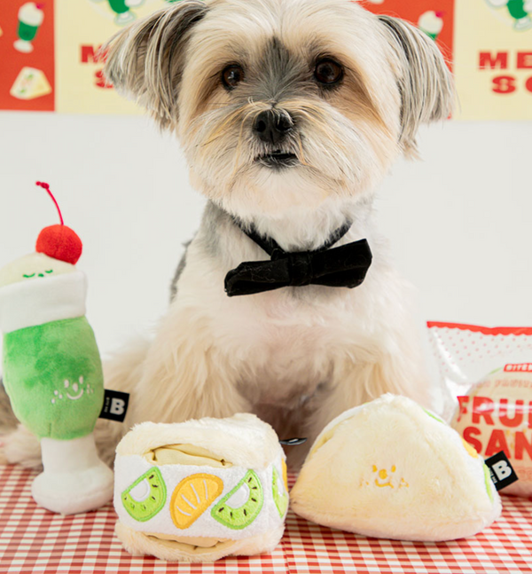 Fruit Sandwich Toy
