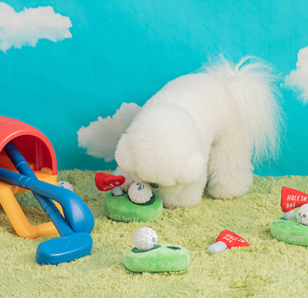 Golf Nose Work Toy