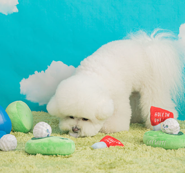 Golf Nose Work Toy