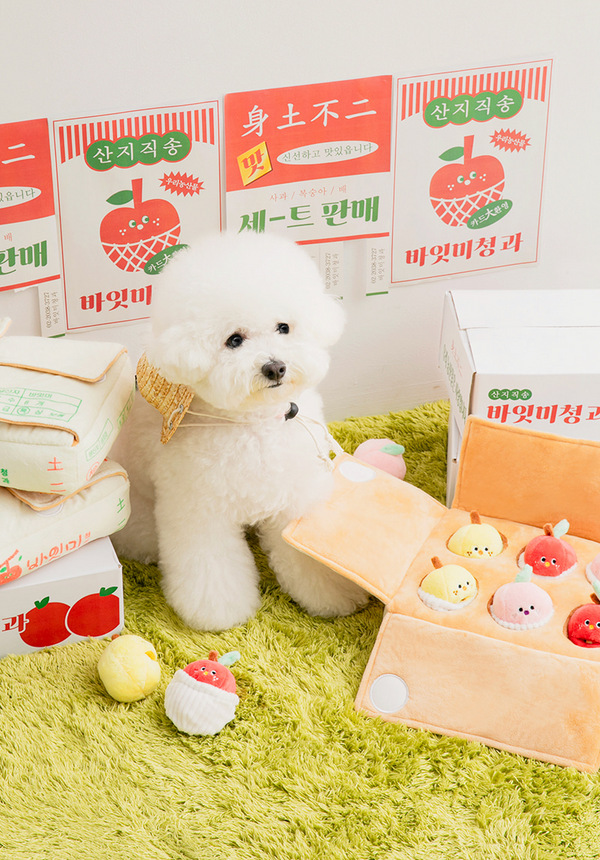 [PRE ORDER] Mixed Fruits Box Nosework Toy