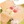 [PRE ORDER] Mixed Fruits Box Nosework Toy