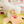 [PRE ORDER] Mixed Fruits Box Nosework Toy