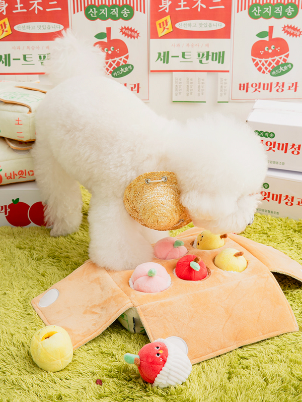[PRE ORDER] Mixed Fruits Box Nosework Toy
