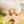 [PRE ORDER] Mixed Fruits Box Nosework Toy