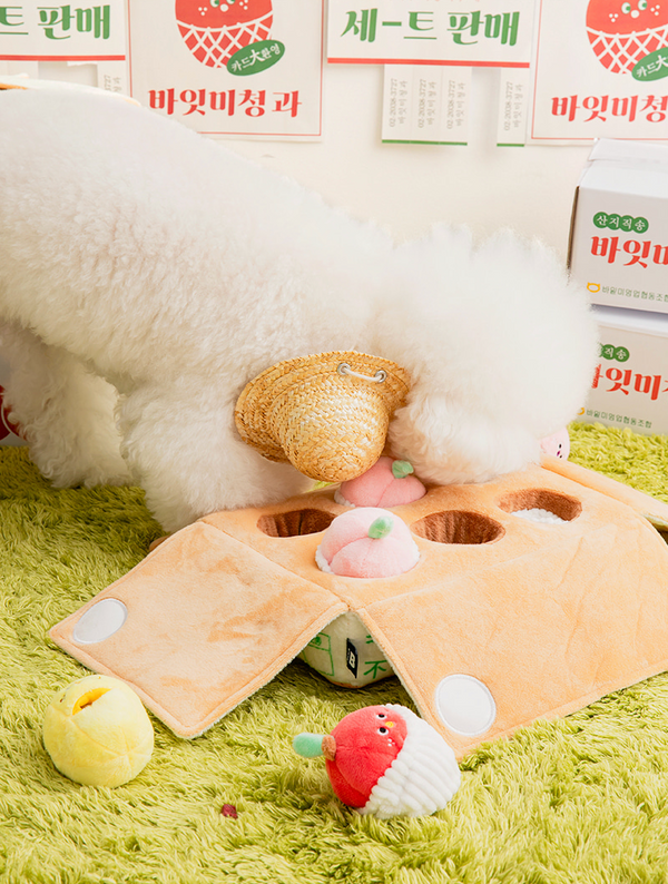 [PRE ORDER] Mixed Fruits Box Nosework Toy