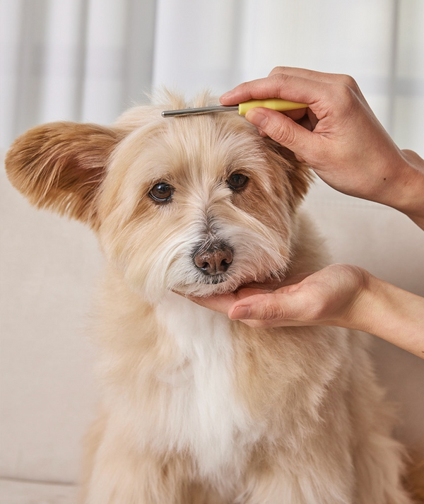 Sensible Face Comb