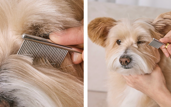 Sensible Face Comb