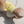 Baby Duck Cool Top