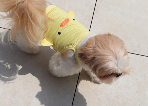Baby Duck Cool Top
