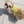 Baby Duck Cool Top