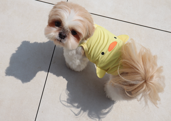 Baby Duck Cool Top