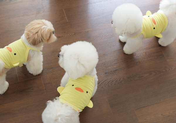 Baby Duck Cool Top