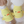 Baby Duck Cool Top