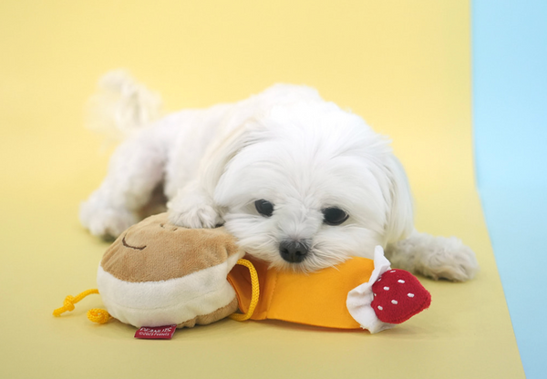 Peanuts Donut Snack Toy
