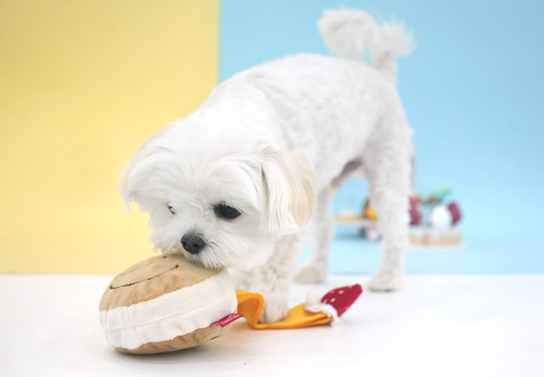 Peanuts Donut Snack Toy