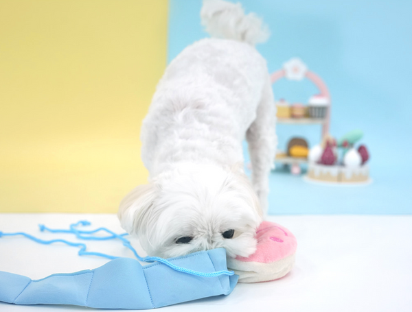 Peanuts Donut Snack Toy