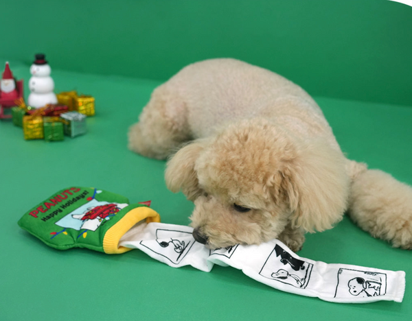 Peanuts Christmas Pocket Book Toy