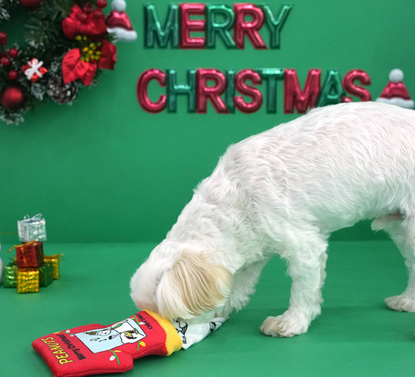 Peanuts Christmas Pocket Book Toy